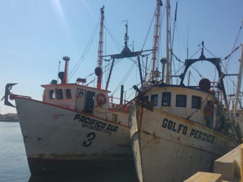 Covid-19 afecta al sector pesquero en Salina Cruz