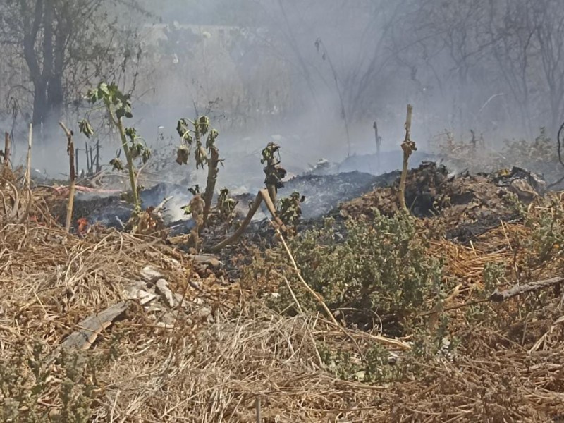 Coxcatlán: van 5 incendios, año pasado cerró con 12