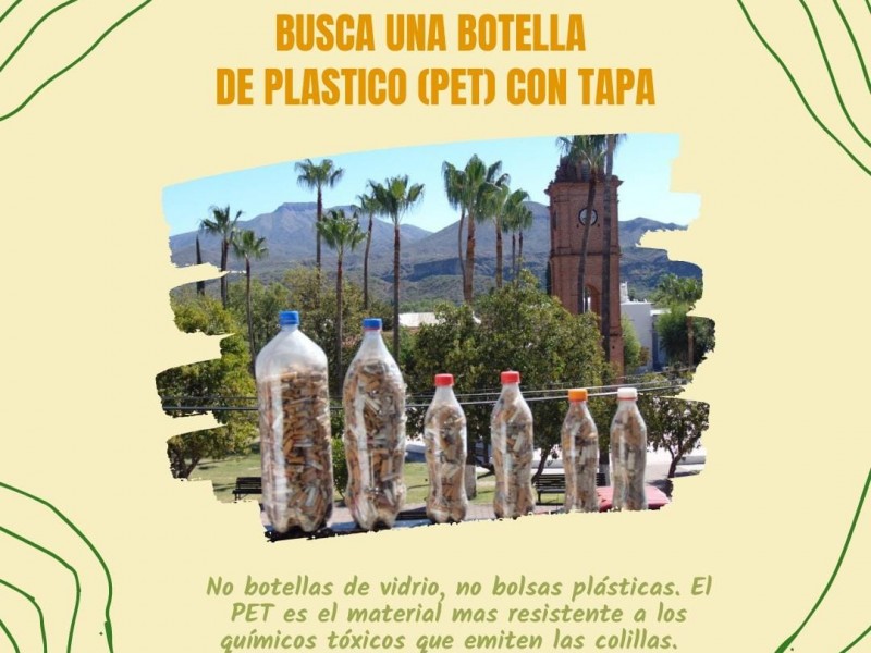 Crea en Guaymas acopio de contaminantes colillas de cigarro