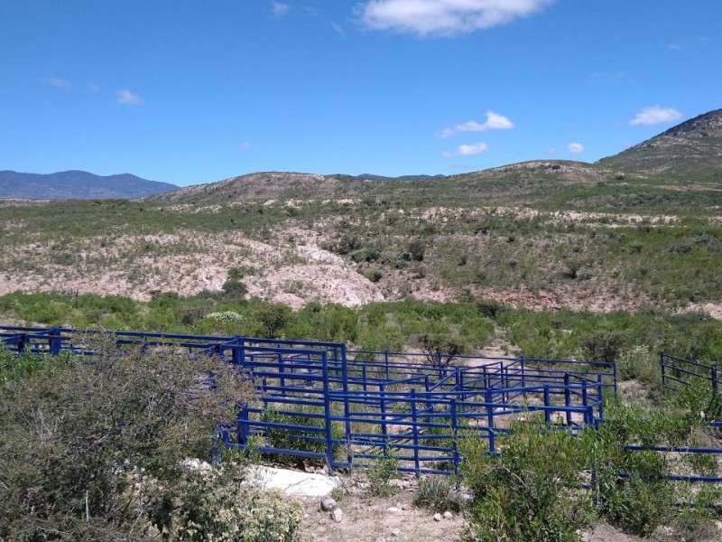 Crean frente común en defensa del Campo