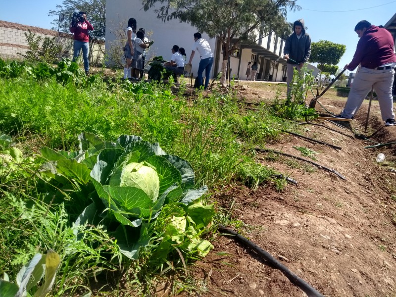 Crean huerto de hortalizas en COBACH III