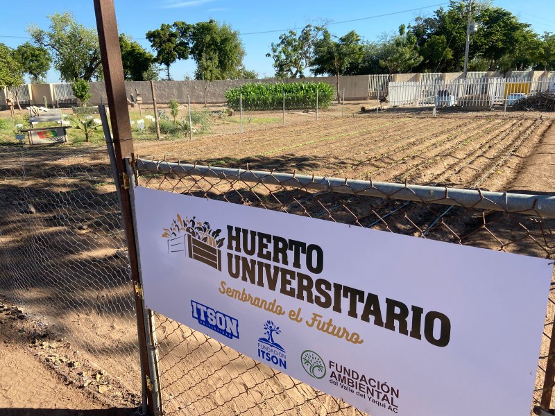 Crean huerto en ITSON para brindar alimento a quienes necesitan