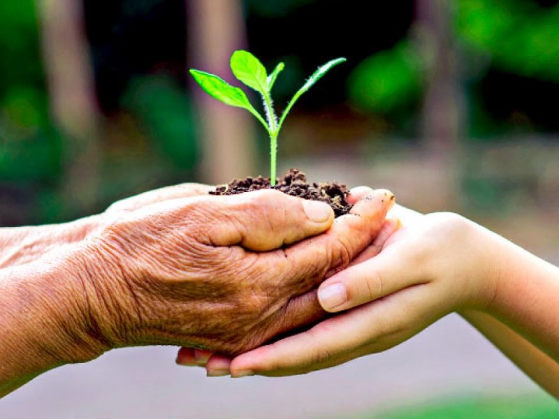 Crean Instituto de Ecología y Cambio Climático del Municipio capitalino