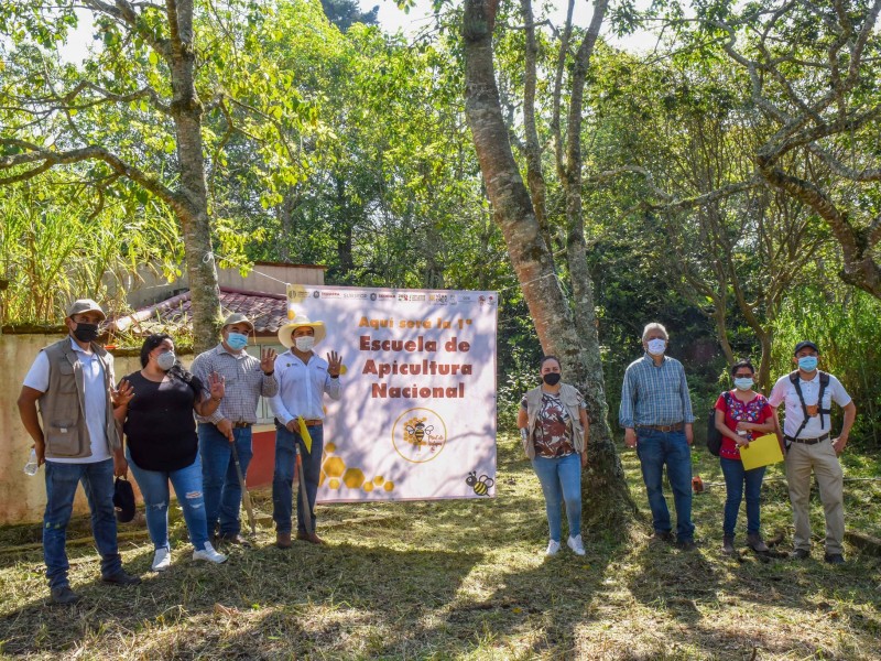 Crearán primera escuela de apicultura del país en Xalapa