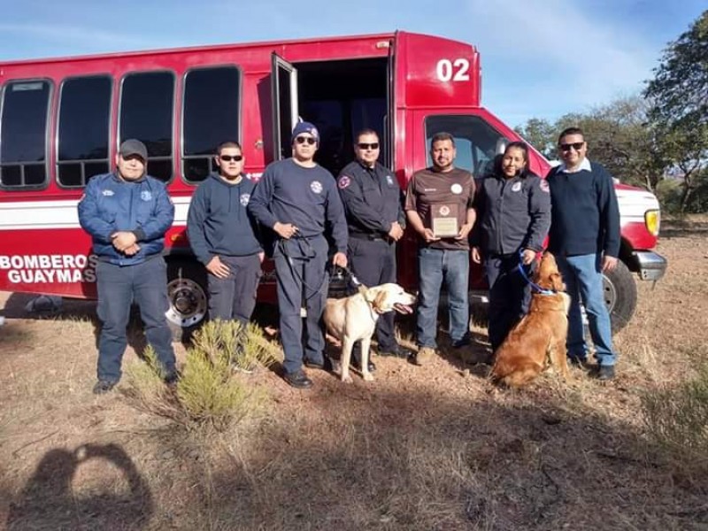 Crearán unidad de búsqueda con perros K9