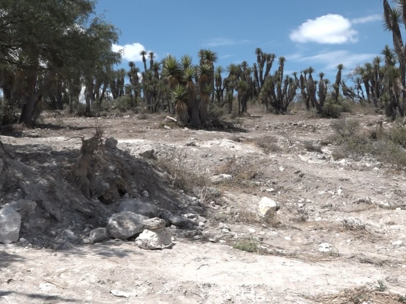 Crece aceleradamente lotificación en la reserva, temen nuevos asentamientos humanos