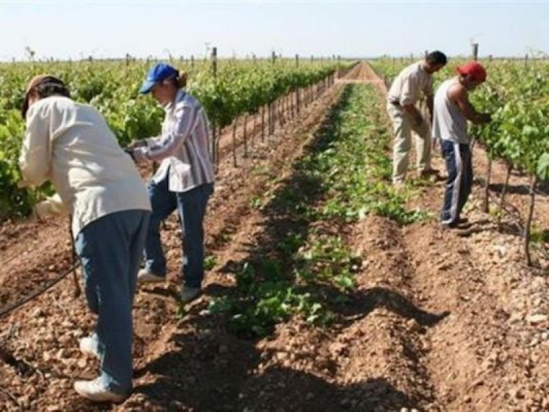 Crece actividad económica en Chiapas