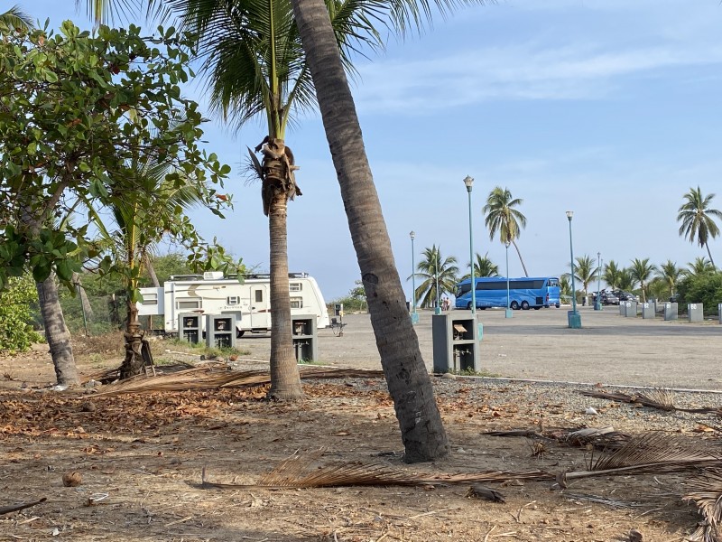 Crece afluencia en Trailer Park de Ixtapa por Semana Santa