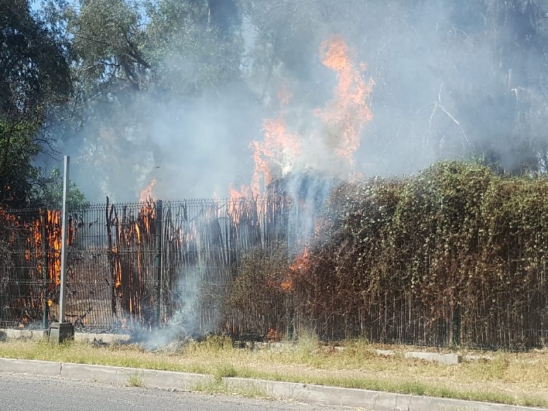 Crecen casos de incendio de basura y maleza, algunos intencionales