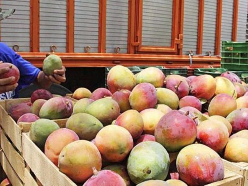 Crecen cuatro veces las ventas de productos agrícolas de Oaxaca