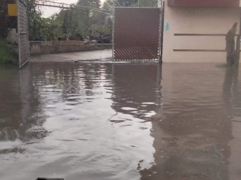 Crecida de río Alseseca deja afectaciones en colonia Miguel Negrete