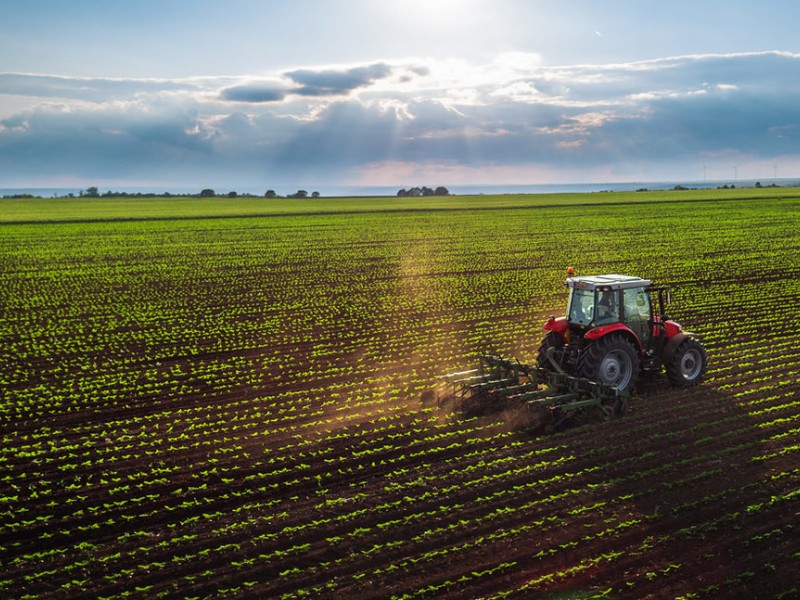 Crecimiento económico 2025: agricultura y servicios impulsan México