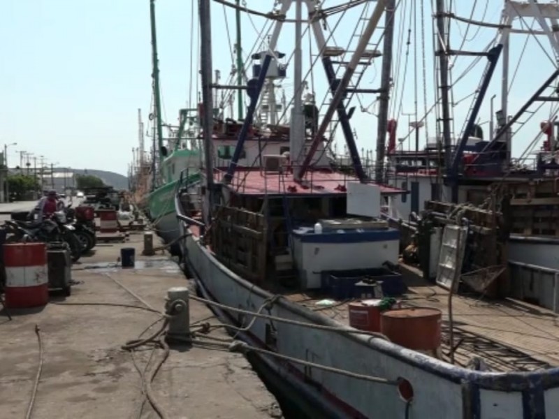 Crédito bancario no solucionará problema de pesca