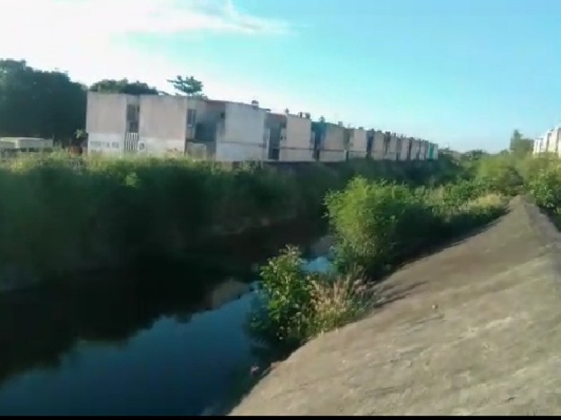 Criadero de moscos en canal pluvial de Puente Moreno