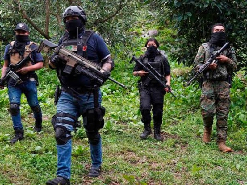 Crimen busca controlar gobiernos municipales en Veracruz, advierte Integralia