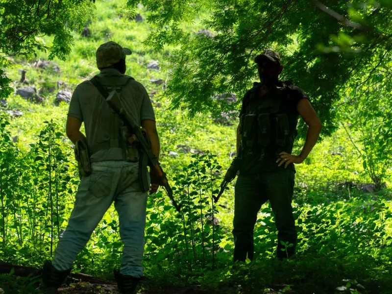 Crimen recluta a jóvenes a través de falsos empleadores