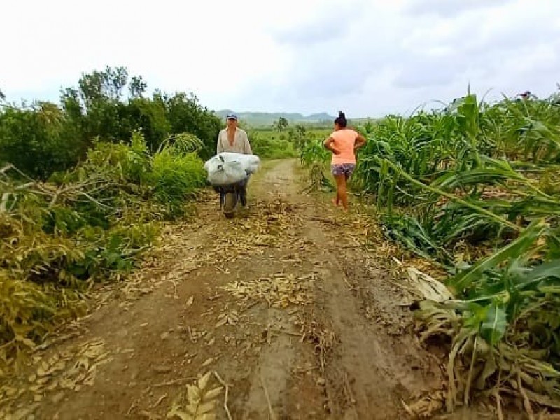 Crisis de producción en el campo norveracruzano