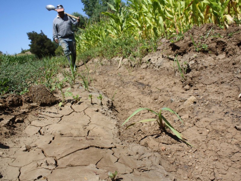 Crisis en el campo.