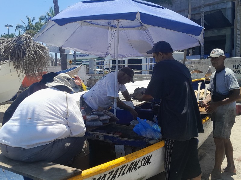 Crisis en la Pesca Artesanal de Mazatlán, solo capturan 3 kilos diaros