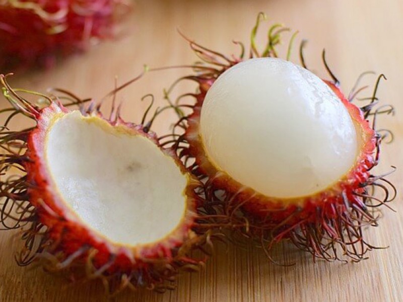 Crisis en la producción de rambután en Chiapas