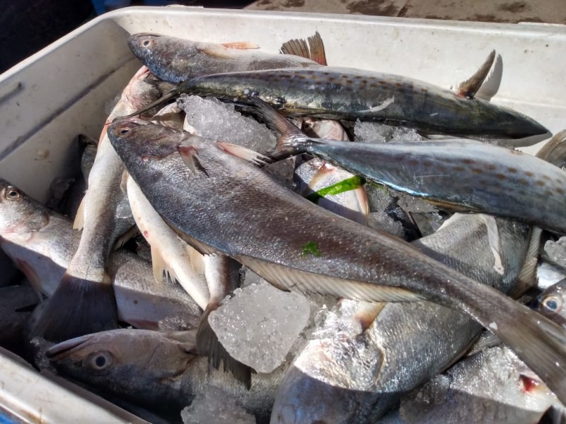 Crisis para pescadores y venta de mariscos en Empalme
