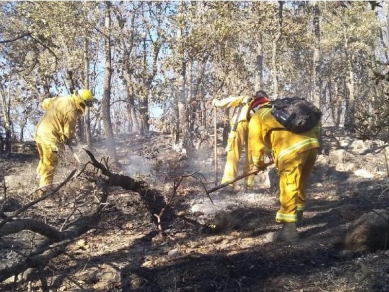 Cuadrillas continúan combatiendo fuego originado en Sierra Santa Rosa