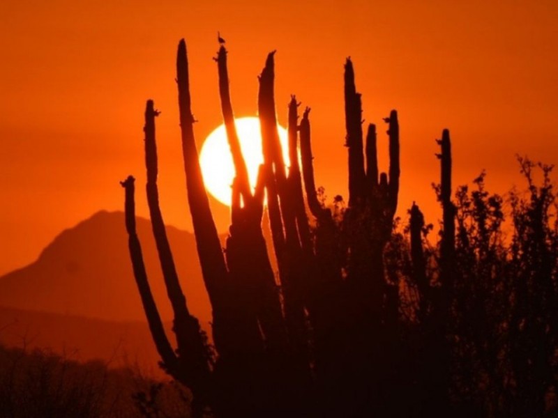 ¿Cuál es la ciudad más caliente de México?