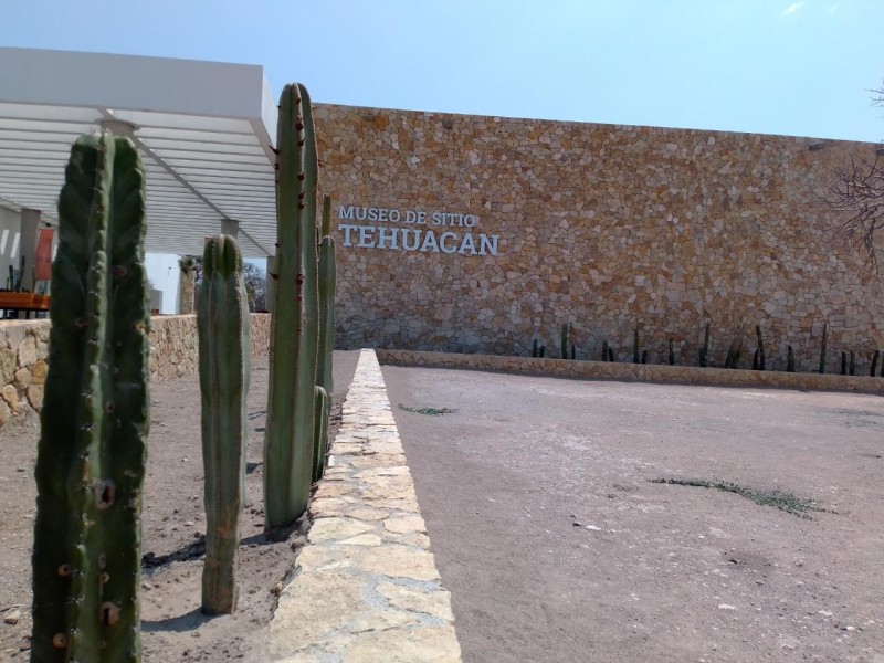 Cuarentena en zona arqueológica de Tehuacán disminuirá turismo