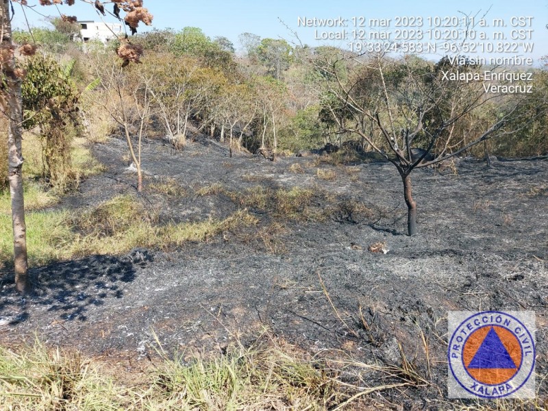 Cuatro incendios en El Castillo alertaron a corporaciones de emergencias