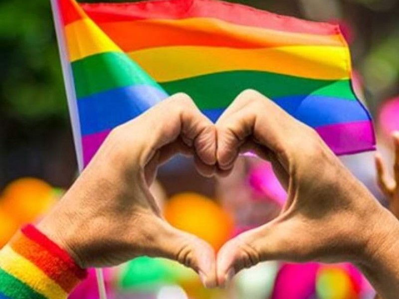 Cuatro países latinoamericanos ofrecen protección constitucional a gays