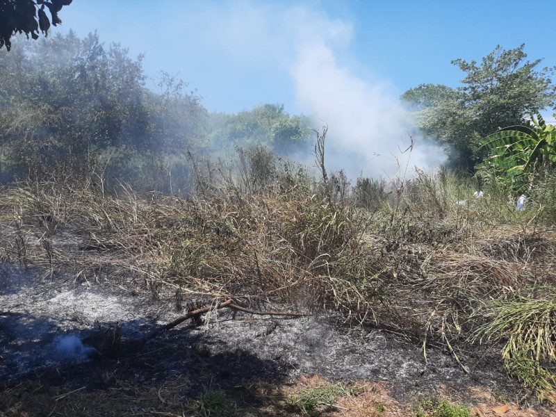 Cinco puntos de Tuxpan se incendian este lunes