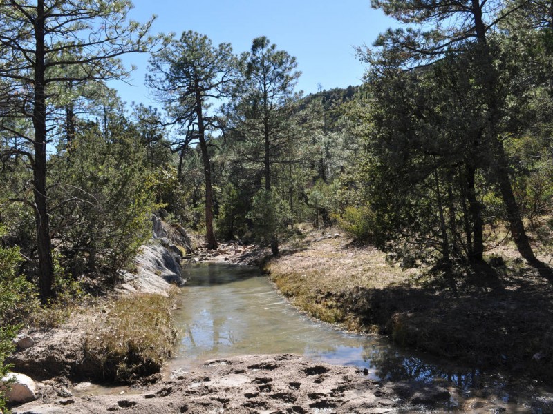 Cuenca Alta del Nazas en peligro de abastecer Agua Saludable