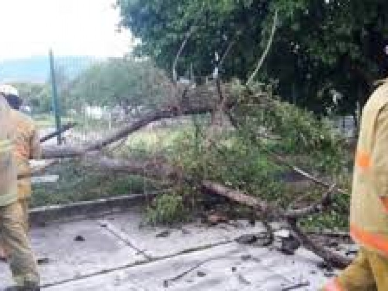 Cuenca del Papaloapan zona más afectada por lluvias