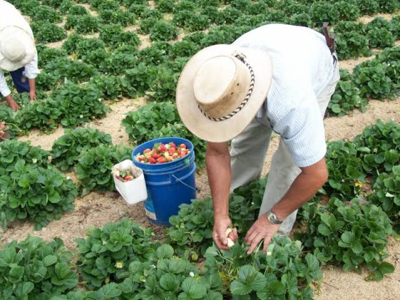 Cuenca del río Duero líder en producción de bienes agroalimentarios