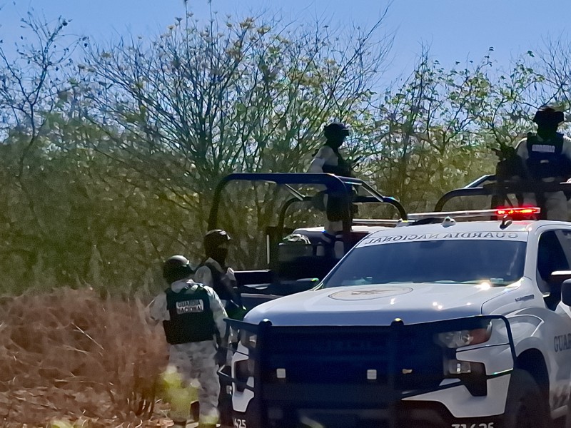 Cuerpo en descomposición es hallado en parcela de Villa Juárez