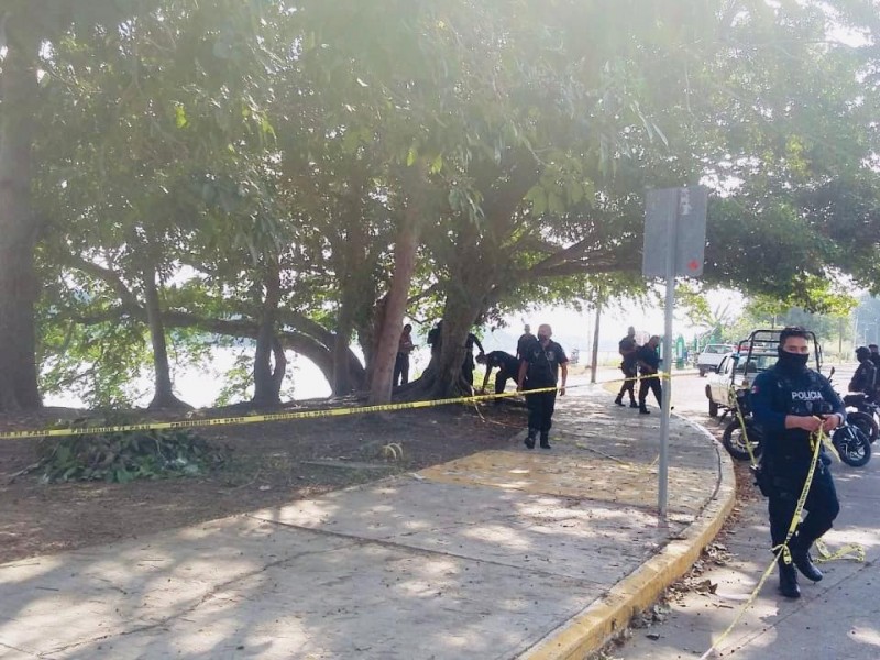 Cuerpo flotando a orillas de Jardines de Tuxpan