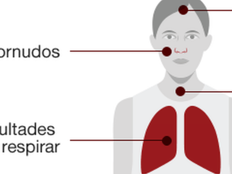 Cuerpo humano se recupera tras 14 días del Coronavirus