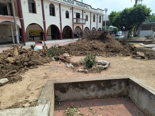 Ciudadanos denuncian por tala masiva de árboles para obra deportiva en ...