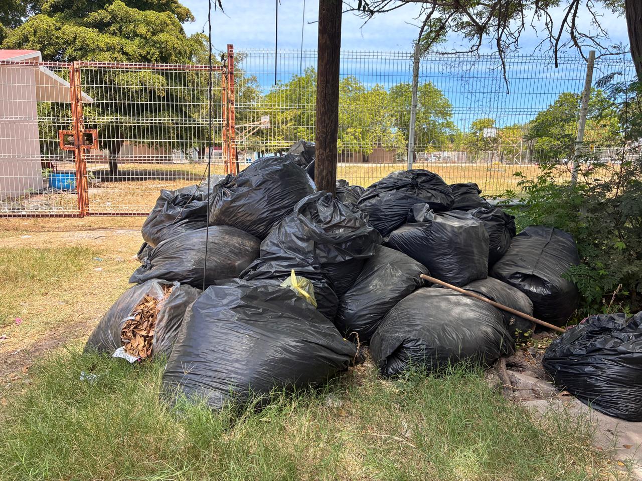 Denuncian acumulación de basura en escuela de La Cuchilla | Meganoticias