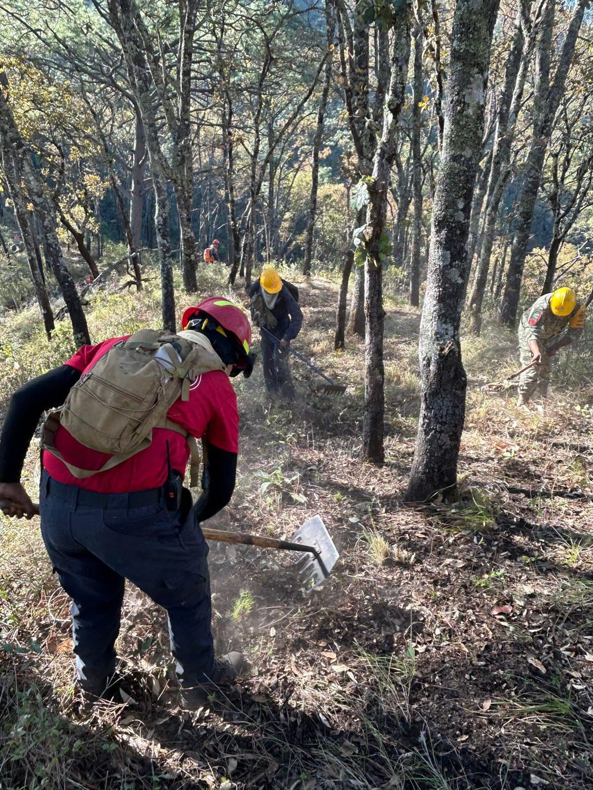 Incendio en el cerro de San Juan: 70% controlado, 45% liquidado ...