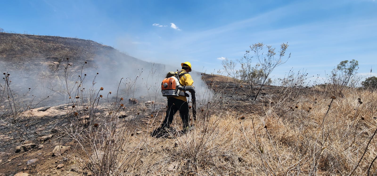 Incendio forestal en cerro El Tepopote moviliza a cuerpos de emergencia ...