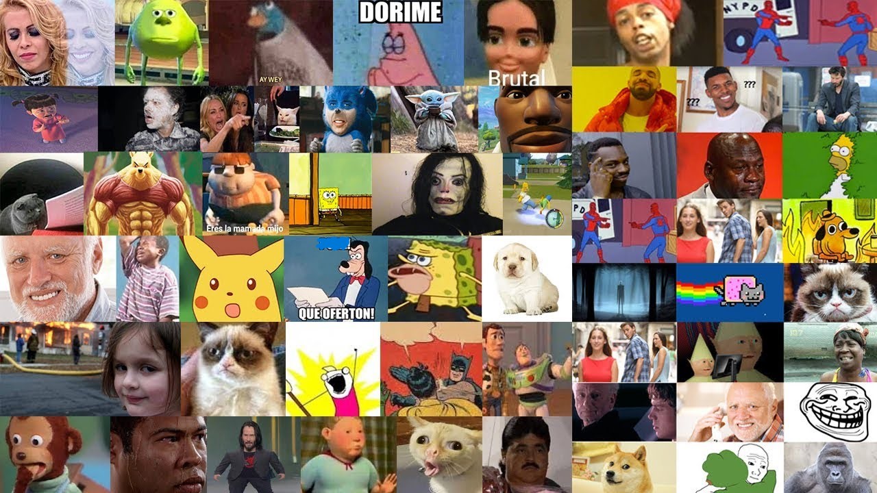 Memes en México: cómo influyen en política, economía y sociedad ...