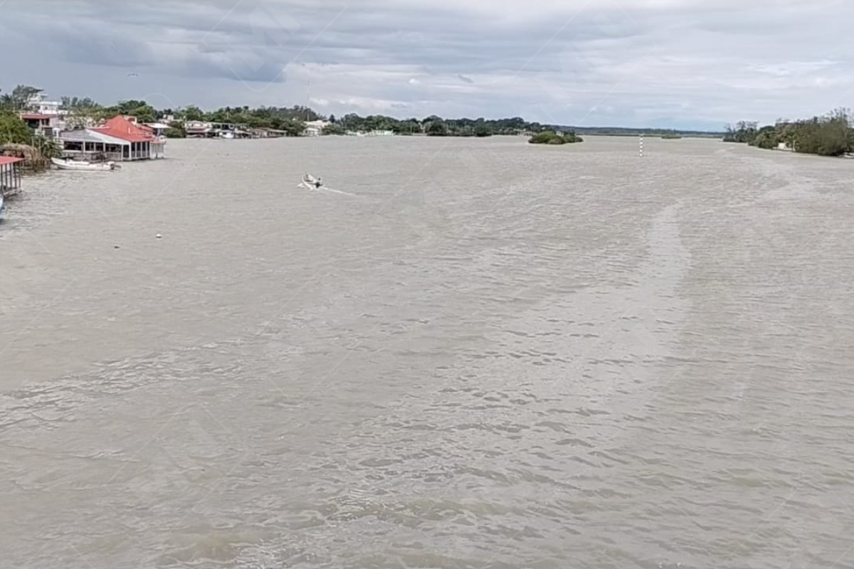 Pescadores registran merma de hasta 80 por ciento debido a lluvias ...
