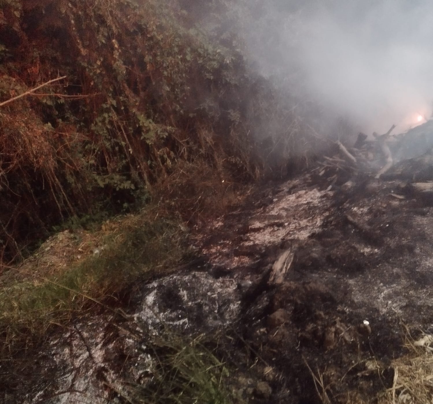 Sofocan incendio por quema de basura en Ruiz Cortines | Meganoticias