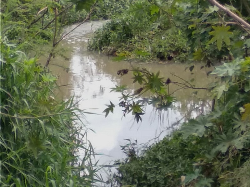 Cuerpos de agua mantienen bajo nivel