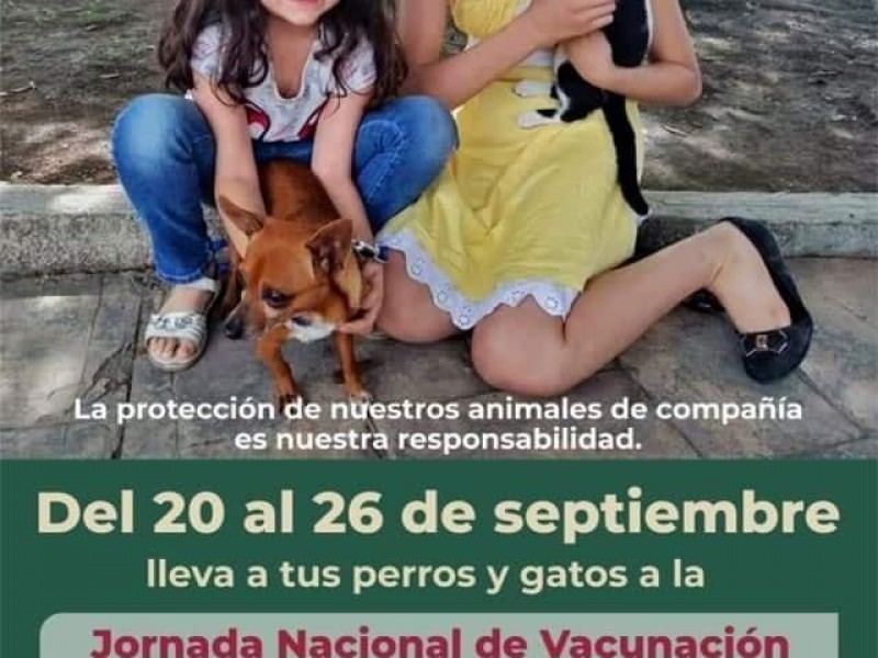 Cuida la salud de tu mascota, Jornada Nacional de Vacunación