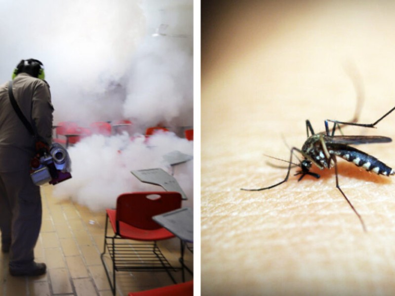 ¡Cuidado con el dengue!, en Nayarit están aumentando los contagios
