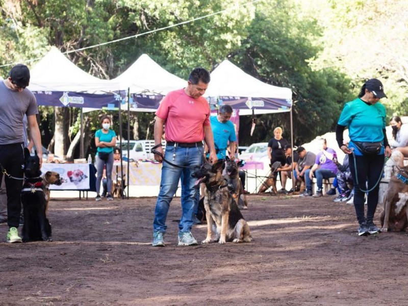 Cuidado y protección animal