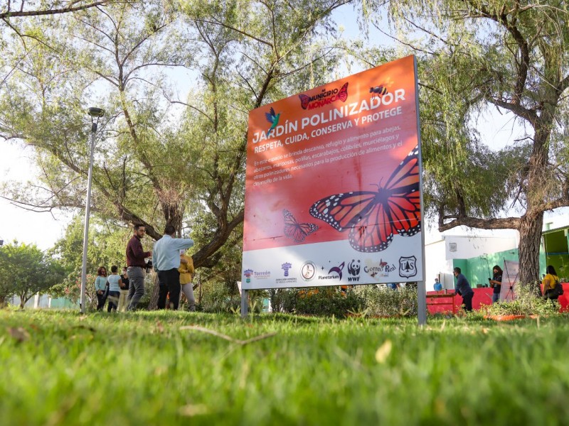 Cuidarán Mariposa Monarca en su tránsito por Torreón
