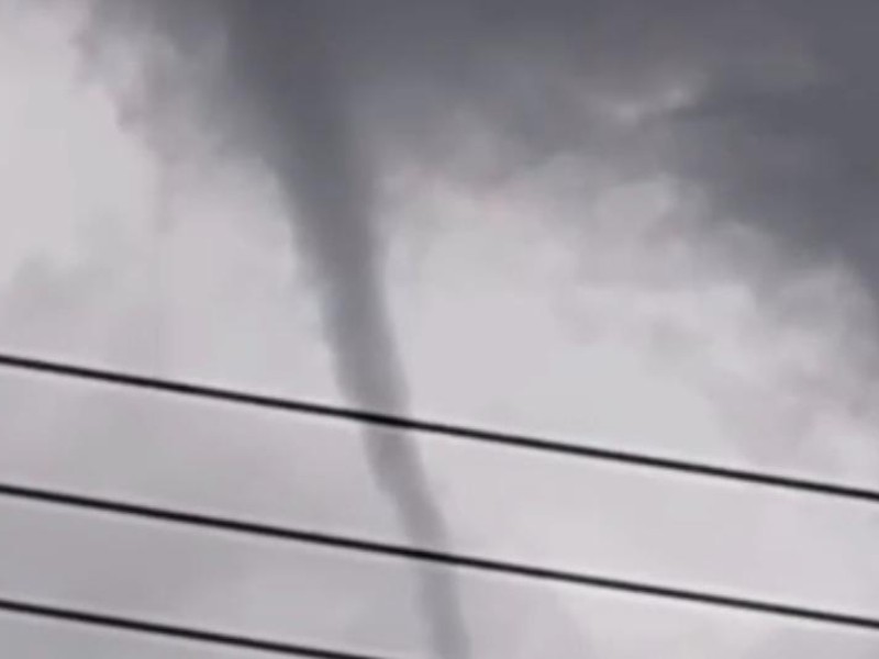 Culebra y pequeño tornado derriba árboles en Chimalhuacán